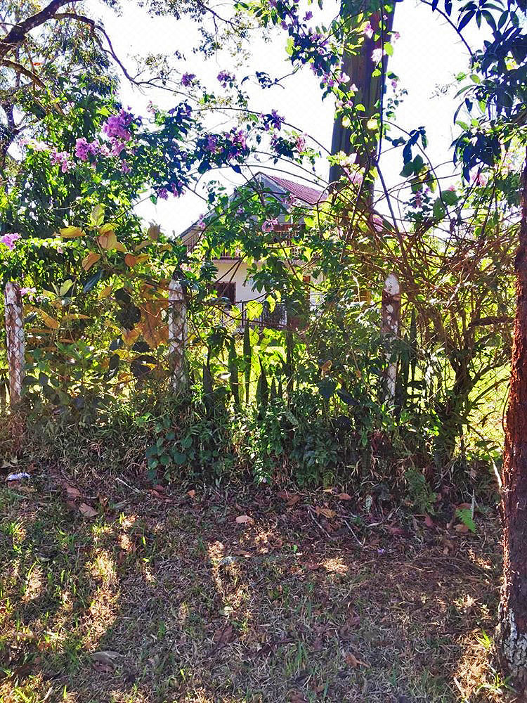 Withdrawn - 15 Hectares in Potrerillos Arriba, Dolega, Chiriqui with Full Year Stream - Different Sizes Available photo 9