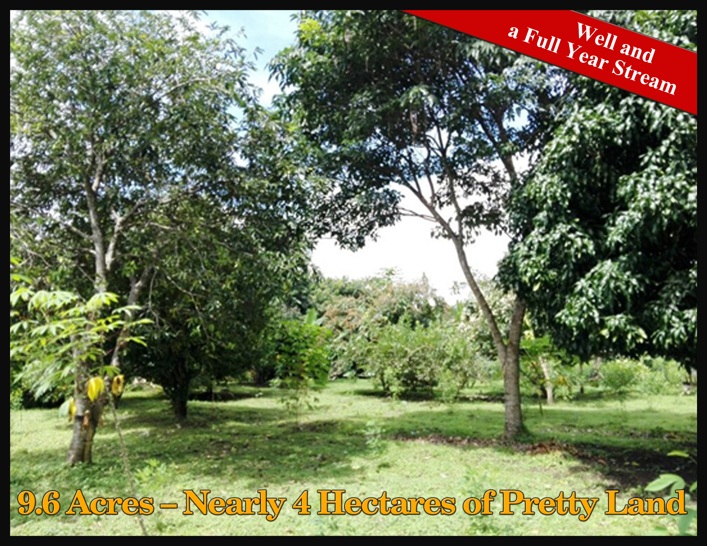 House & Guest House on 4 Hectares (10 Acres) For Sale Near David, Panama photo 2