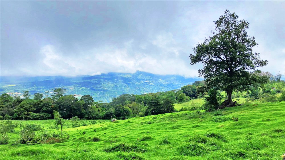 Sold by Casa Solution – Awe-inspiring Land for Sale in Alto Jaramillo, Boquete. photo 5