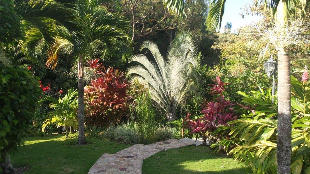 sold Tremendous Mountain Estate Near El Valle and Coronado Panama photo 2