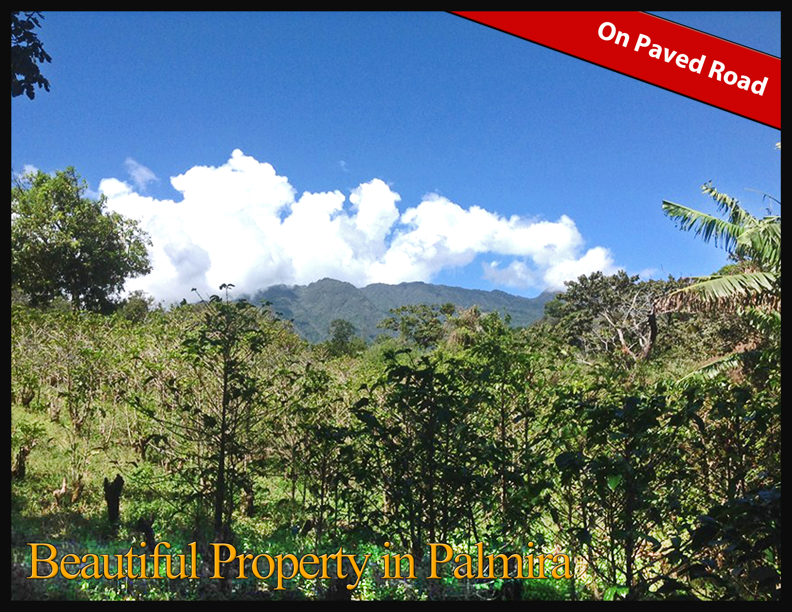 withdrawn Price Reduced! Beautiful Palmira Boquete Lot for Sale on Paved Road photo 2