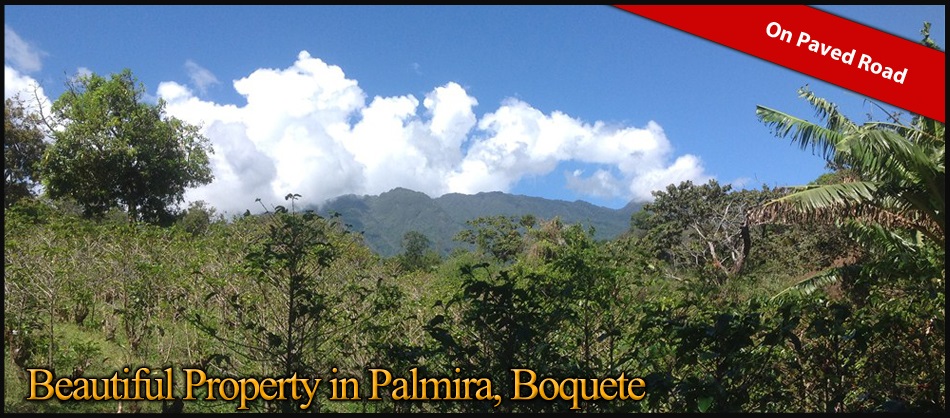 Sold by Casa Solution – Great Price! Palmira, Boquete Beautiful Property. – Over 2 Fantastic Hectares. – Hermosa Propiedad en Palmira Boquete, Más de 2 Fantásticas Hectáreas.
