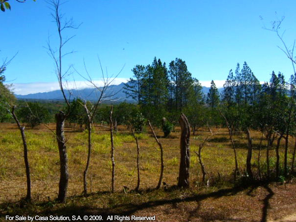 Sold part said off the market 18 Hectares in Potrerillos Arriba, Panama photo 2