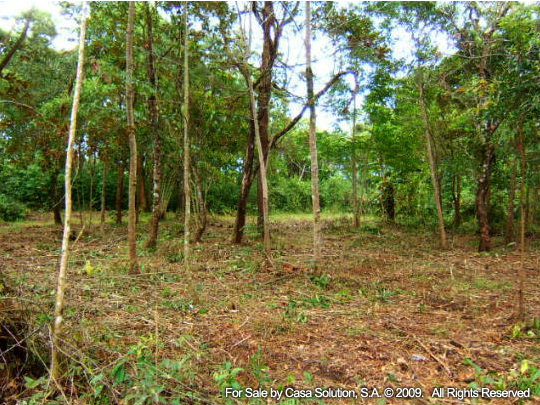 Sold part said off the market 18 Hectares in Potrerillos Arriba, Panama photo 5