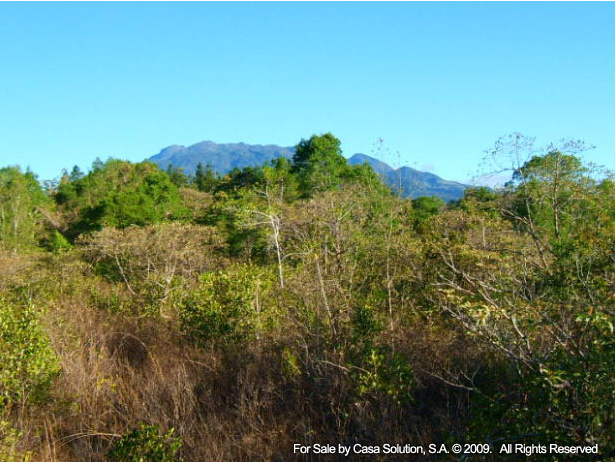 Sold part said off the market 18 Hectares in Potrerillos Arriba, Panama photo 6