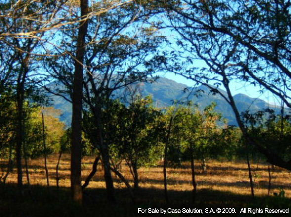 Sold part said off the market 18 Hectares in Potrerillos Arriba, Panama photo 7