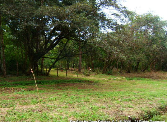 Sold part said off the market 18 Hectares in Potrerillos Arriba, Panama photo 8