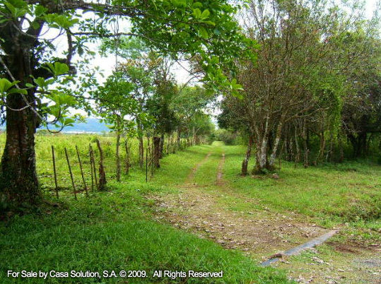 Sold part said off the market 18 Hectares in Potrerillos Arriba, Panama photo 10