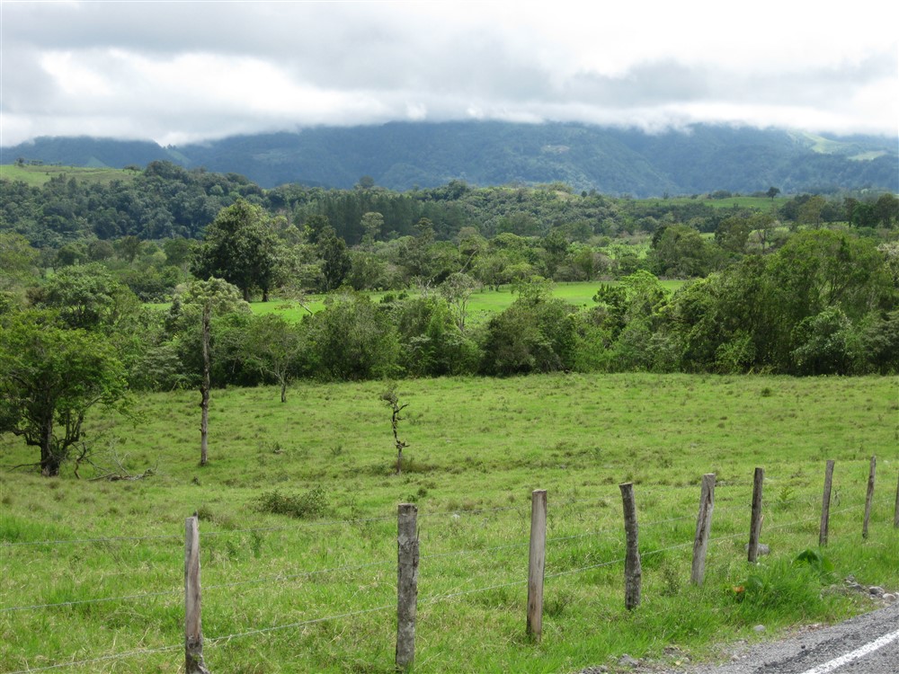 Withdrawn - Large Dairy Farm for Sale near Volcan, Chiriqui, Panama photo 7