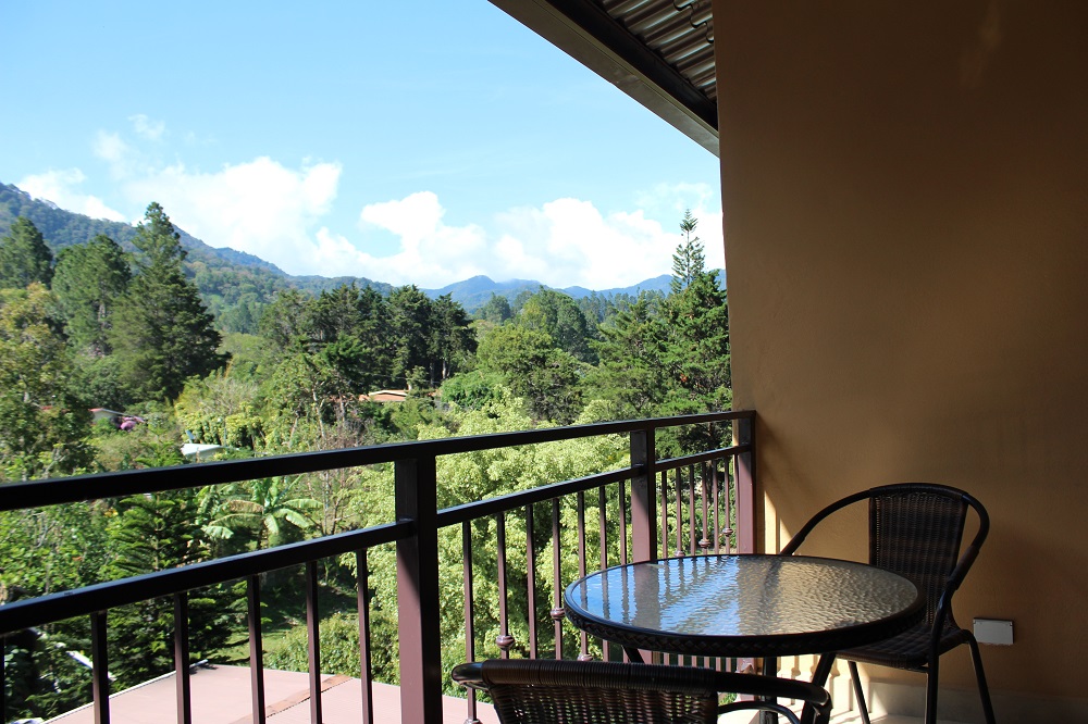 withdrawn - #1 Bed and Breakfast in Boquete For Sale - Profitable Boquete Business - Would Also Make a Wonderful Downtown Luxury 7 Bedroom Residence - # 1 Hotel Boutique en Boquete a la Venta - Negocio Rentable de Boquete photo 7