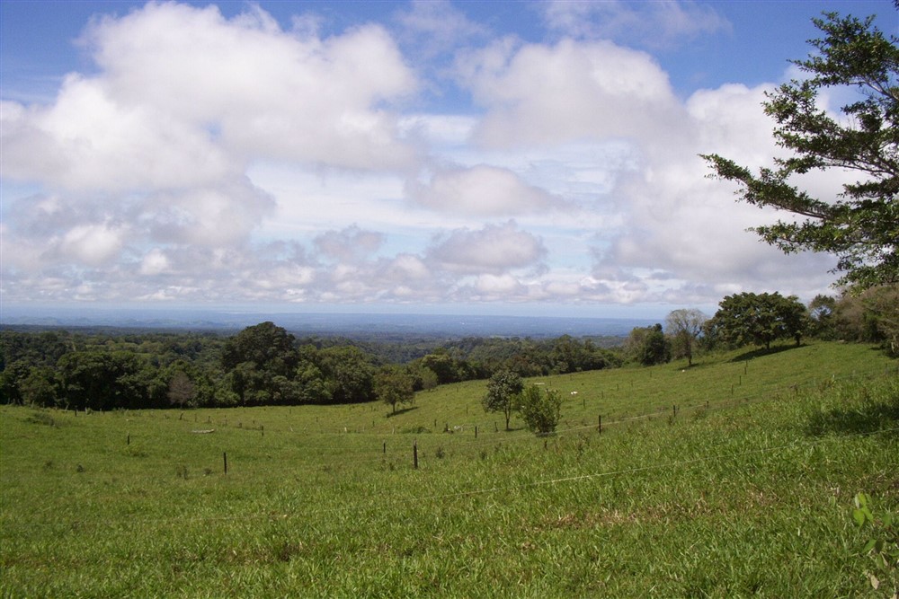Withdrawn - Large Dairy Farm for Sale near Volcan, Chiriqui, Panama photo 8