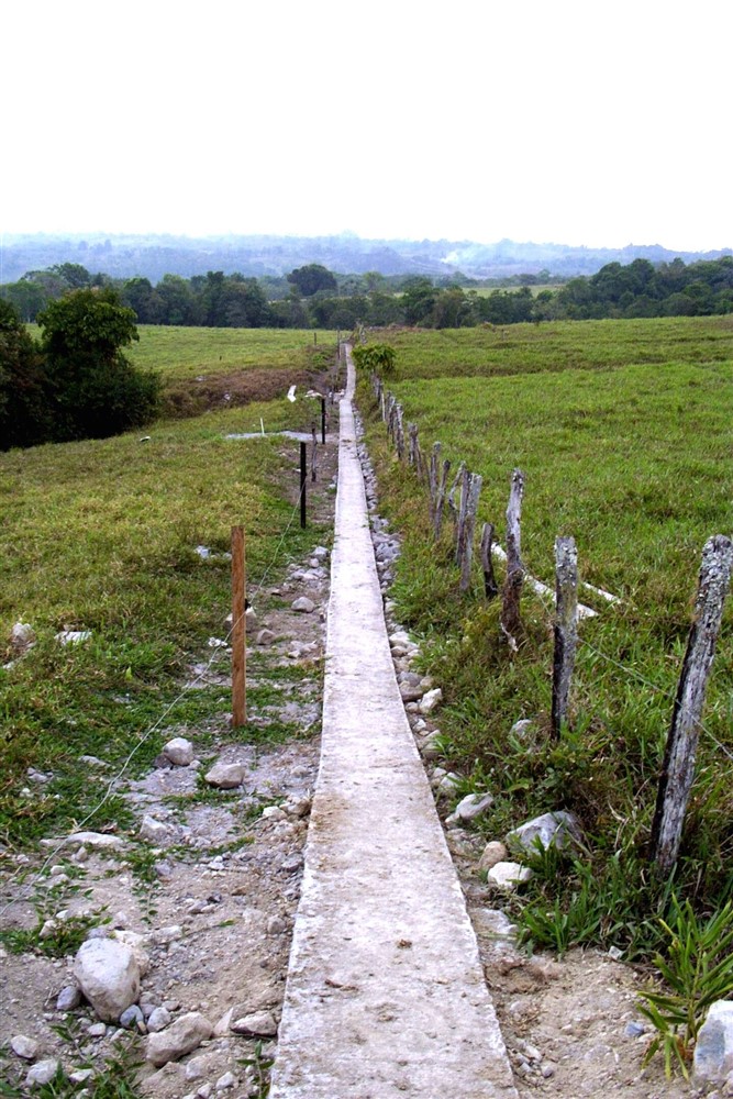 Withdrawn - Large Dairy Farm for Sale near Volcan, Chiriqui, Panama photo 10