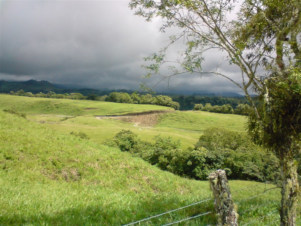 Withdrawn - Large Dairy Farm for Sale near Volcan, Chiriqui, Panama photo 12
