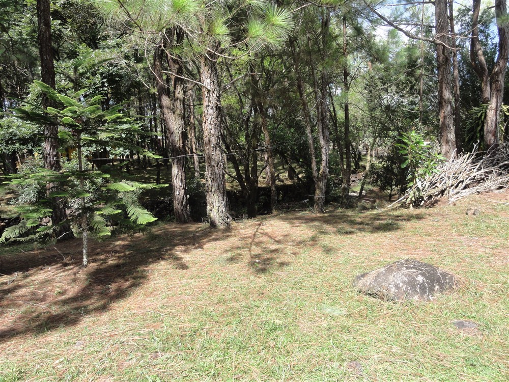 withdrawn – Alto Boquete House for sale with Commercial Potential photo 8