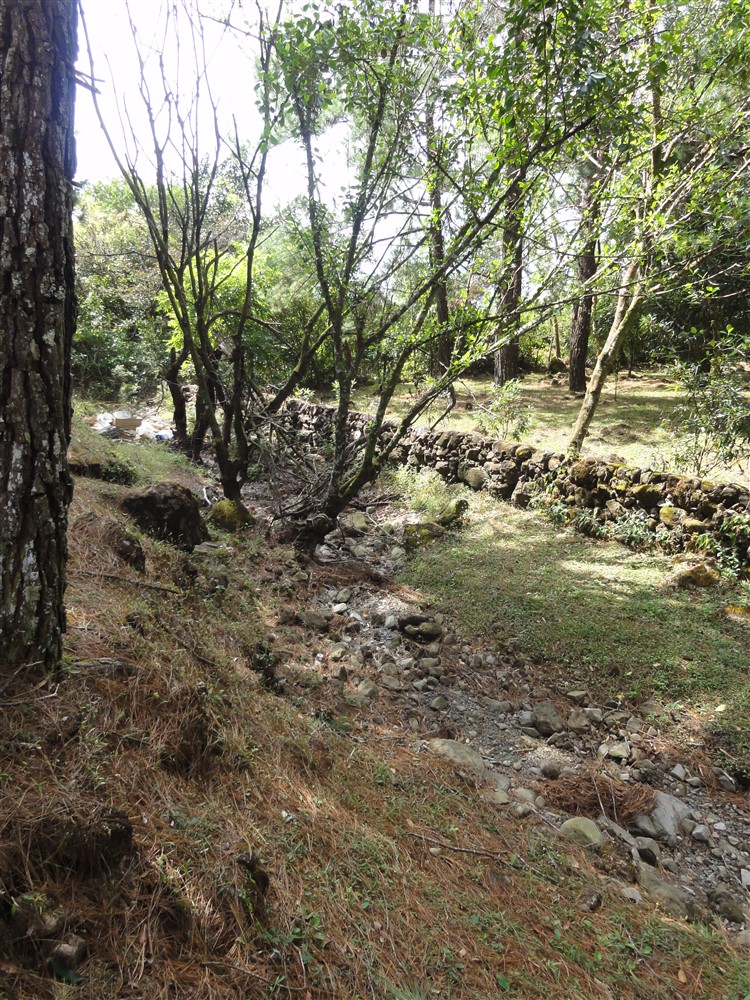 withdrawn – Alto Boquete House for sale with Commercial Potential photo 9