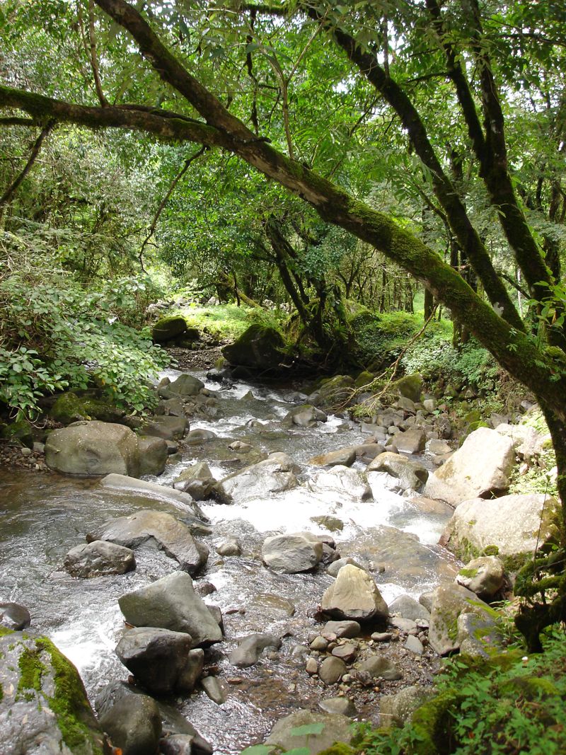 Jaramillo, Boquete,