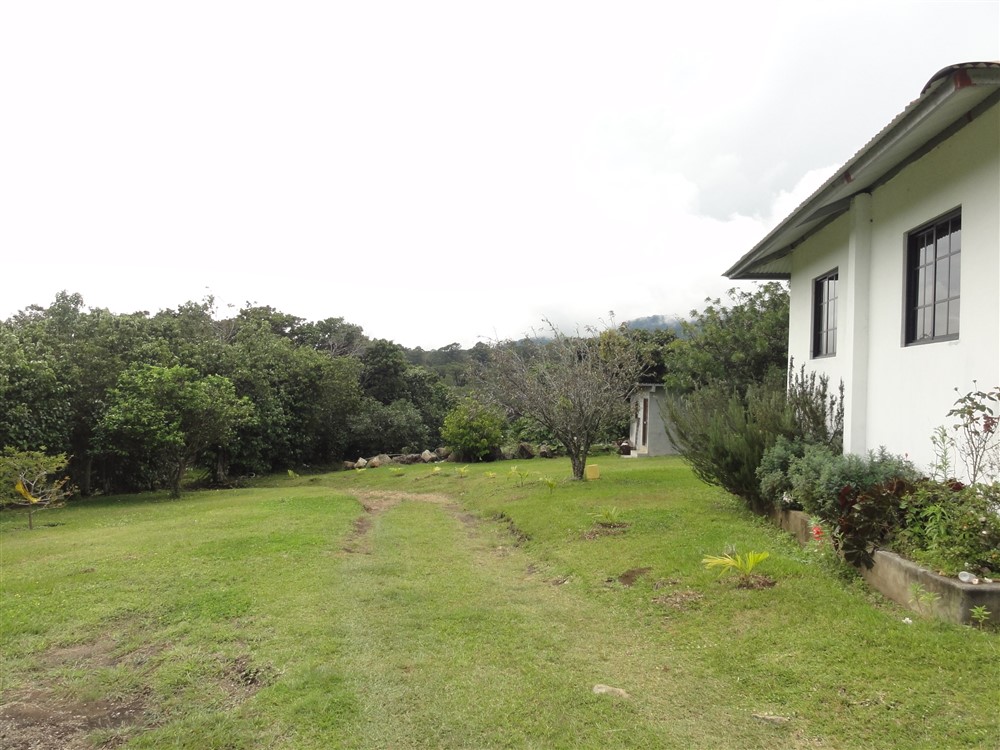 Large Avocado Farm in Palmira, Boquete - Great Opportunity! photo 12