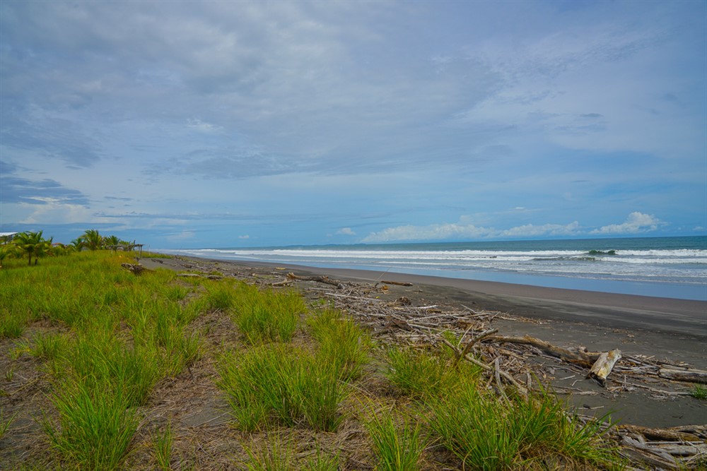 Sold by Casa Solution - Low Price Beachfront Lot for Sale in Las Olas Resort Community, Panama photo 9