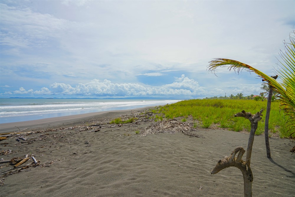 Sold by Casa Solution - Low Price Beachfront Lot for Sale in Las Olas Resort Community, Panama photo 7