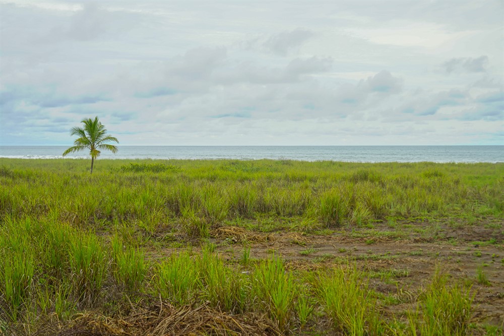 Large Beachfront Lot for Sale in Exclusive Villas Section of Las Olas Residential Resort Community photo 5