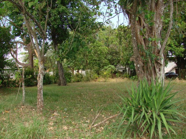 withdrawn Near Busy F Sur in David Panama one block from Pan American Highway photo 2