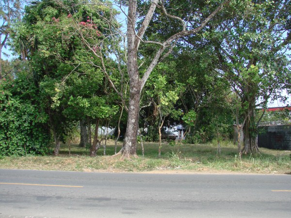 withdrawn Near Busy F Sur in David Panama one block from Pan American Highway photo 3