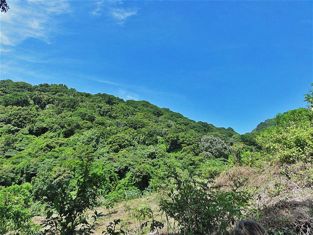Withdrawn - Perfect Eco-Lodge Tourism Site or Coffee Farm Location next to Volcan Baru National Park Entrance - Could Be Eco-Friendly Home Site - Terreno para Turismo por Entrada del Parque Nacional Volcan Baru photo 3