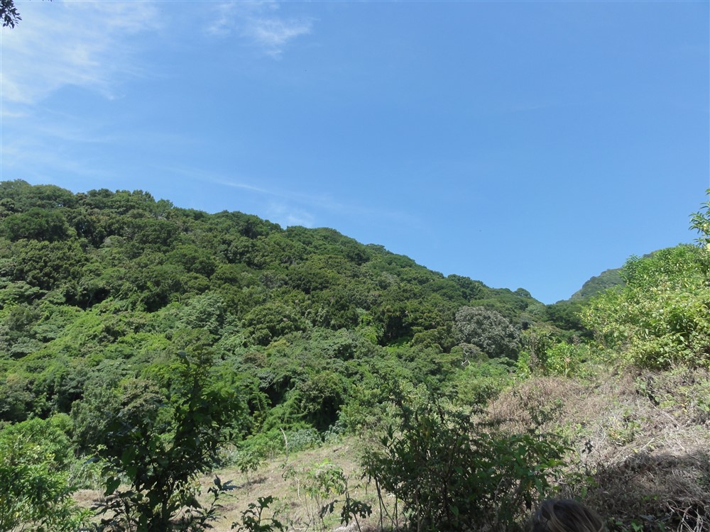 Withdrawn - Perfect Eco-Lodge Tourism Site or Coffee Farm Location next to Volcan Baru National Park Entrance - Could Be Eco-Friendly Home Site - Terreno para Turismo por Entrada del Parque Nacional Volcan Baru photo 11