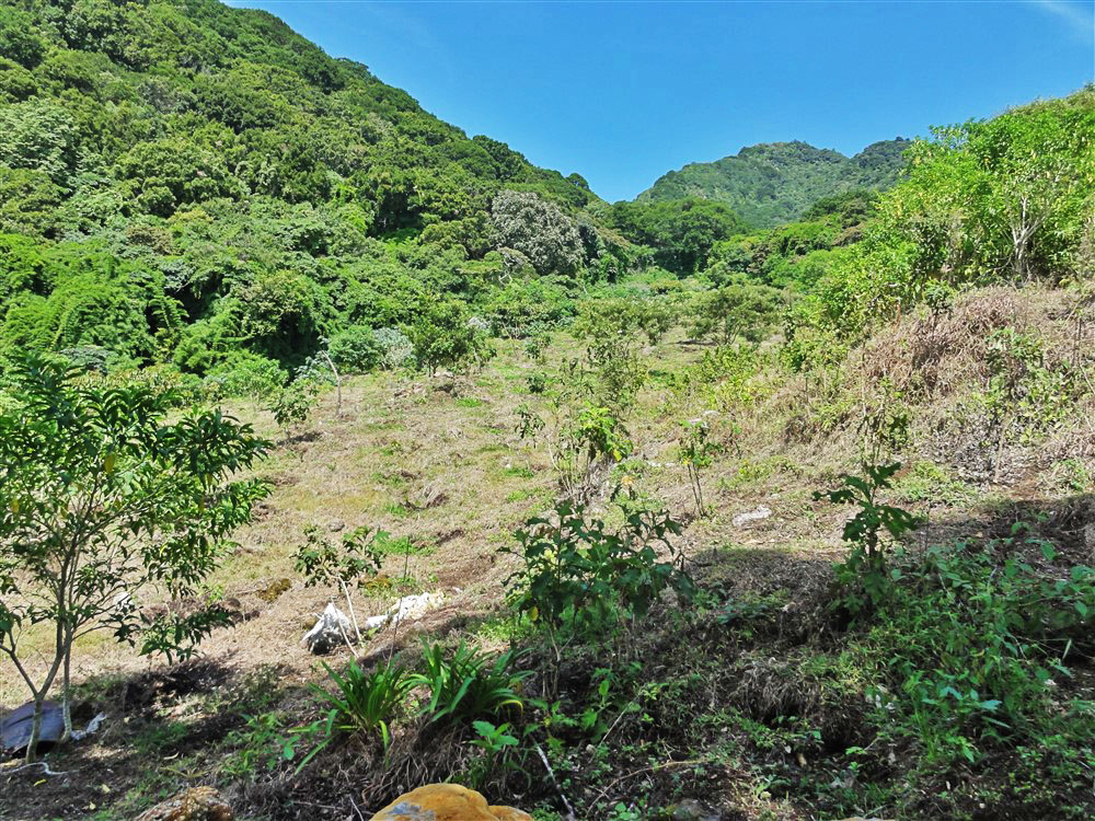 Withdrawn - Perfect Eco-Lodge Tourism Site or Coffee Farm Location next to Volcan Baru National Park Entrance - Could Be Eco-Friendly Home Site - Terreno para Turismo por Entrada del Parque Nacional Volcan Baru photo 4
