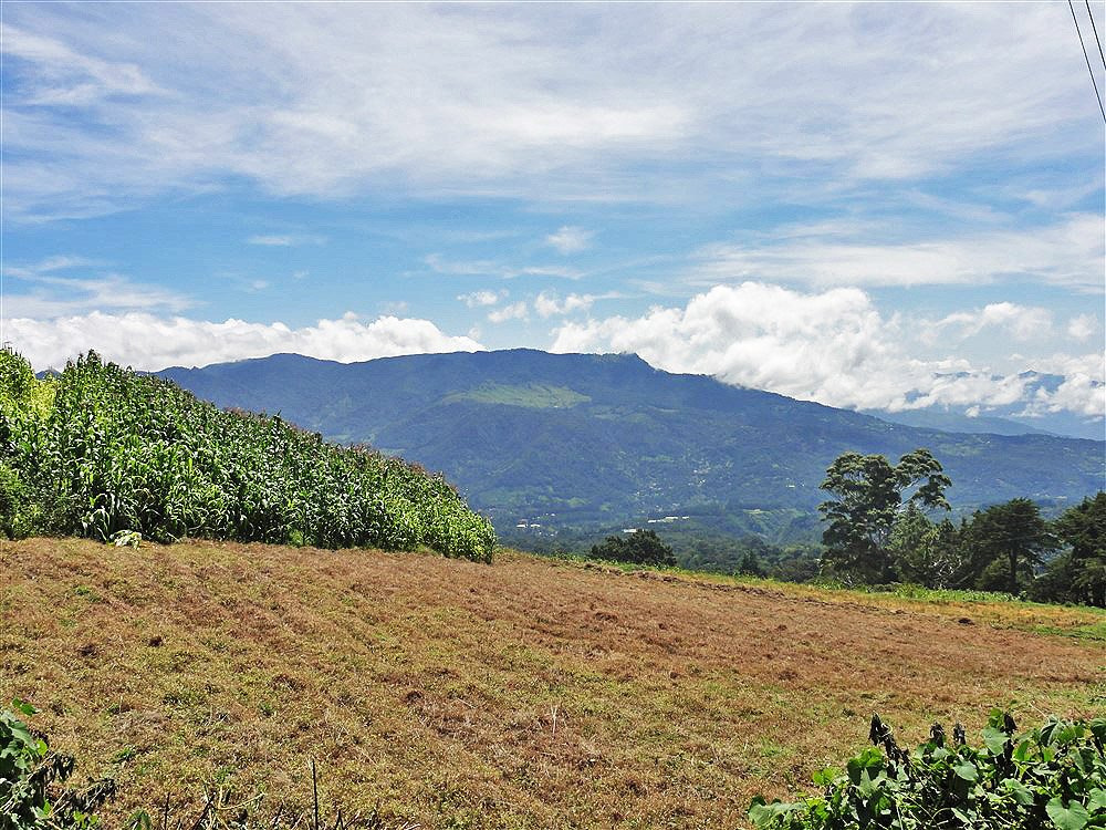 Withdrawn - Perfect Eco-Lodge Tourism Site or Coffee Farm Location next to Volcan Baru National Park Entrance - Could Be Eco-Friendly Home Site - Terreno para Turismo por Entrada del Parque Nacional Volcan Baru