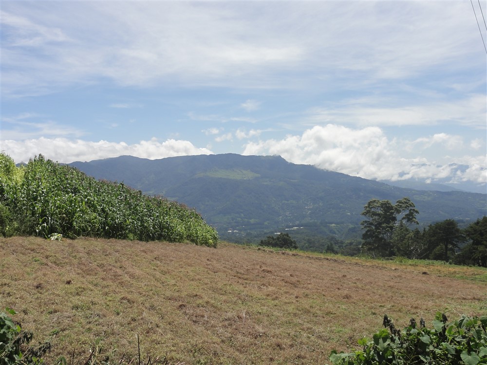 Withdrawn - Perfect Eco-Lodge Tourism Site or Coffee Farm Location next to Volcan Baru National Park Entrance - Could Be Eco-Friendly Home Site - Terreno para Turismo por Entrada del Parque Nacional Volcan Baru photo 10