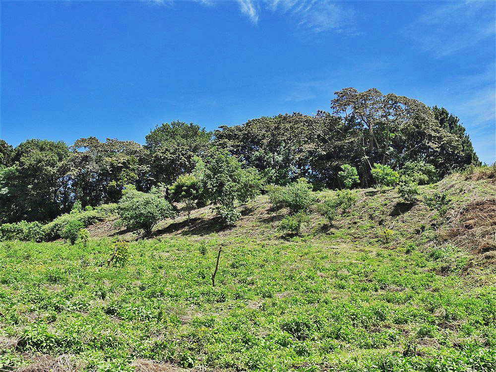 Withdrawn - Perfect Eco-Lodge Tourism Site or Coffee Farm Location next to Volcan Baru National Park Entrance - Could Be Eco-Friendly Home Site - Terreno para Turismo por Entrada del Parque Nacional Volcan Baru photo 7