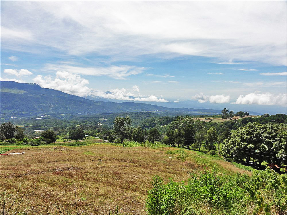 Withdrawn - Perfect Eco-Lodge Tourism Site or Coffee Farm Location next to Volcan Baru National Park Entrance - Could Be Eco-Friendly Home Site - Terreno para Turismo por Entrada del Parque Nacional Volcan Baru photo 8