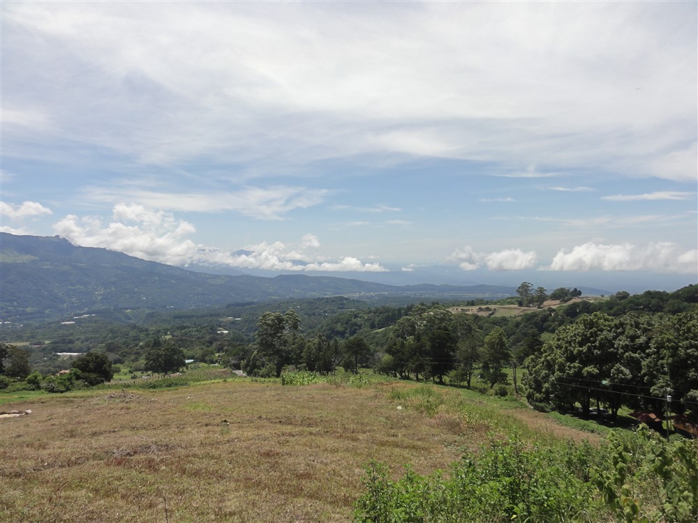 Withdrawn - Perfect Eco-Lodge Tourism Site or Coffee Farm Location next to Volcan Baru National Park Entrance - Could Be Eco-Friendly Home Site - Terreno para Turismo por Entrada del Parque Nacional Volcan Baru photo 9