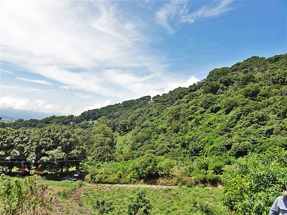 Withdrawn - Perfect Eco-Lodge Tourism Site or Coffee Farm Location next to Volcan Baru National Park Entrance - Could Be Eco-Friendly Home Site - Terreno para Turismo por Entrada del Parque Nacional Volcan Baru photo 2