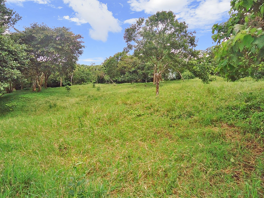 Withdrawn - Lot with Charming Cabin for Sale in La Estrella, Jaramillo, Boquete - Chose from Three Lots at Different Prices including One with a Cabin photo 12