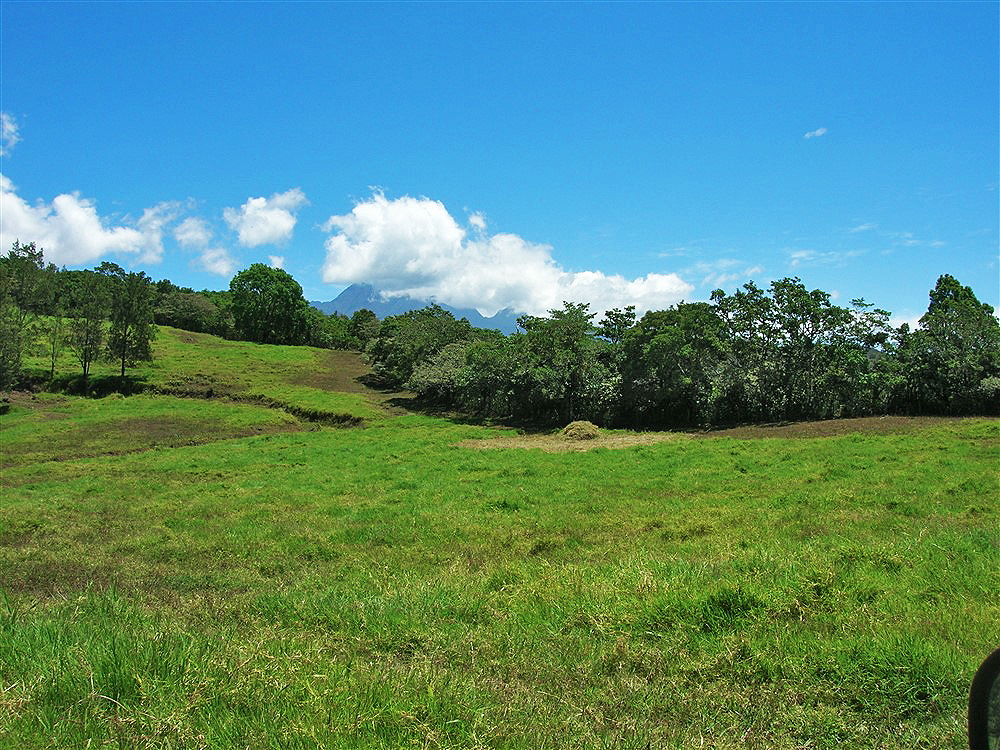 Incredible 93 Acres Potrerillos Arriba, Panama Property Close to Boquete – Buy All or a Part – Increíble 93 acres Potrerillos Arriba,  Propiedad de Panamá Cerca de Boquete – Compre Todo o una Parte photo 12
