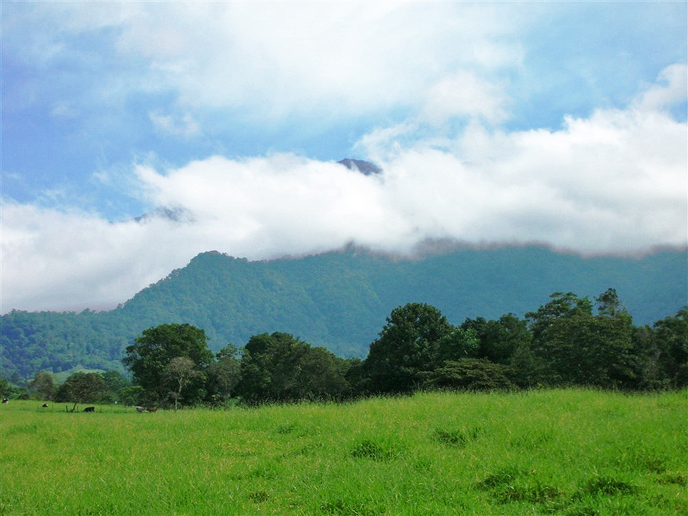 Incredible 93 Acres Potrerillos Arriba, Panama Property Close to Boquete – Buy All or a Part – Increíble 93 acres Potrerillos Arriba,  Propiedad de Panamá Cerca de Boquete – Compre Todo o una Parte photo 10