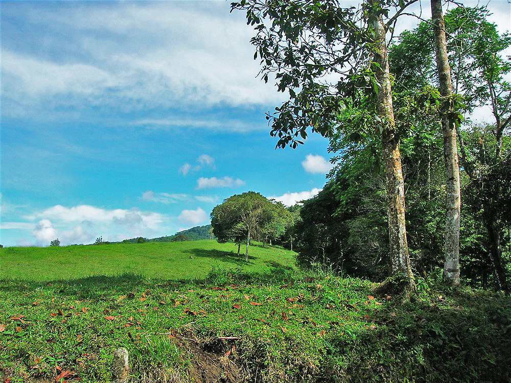 Incredible 93 Acres Potrerillos Arriba, Panama Property Close to Boquete – Buy All or a Part – Increíble 93 acres Potrerillos Arriba,  Propiedad de Panamá Cerca de Boquete – Compre Todo o una Parte photo 6