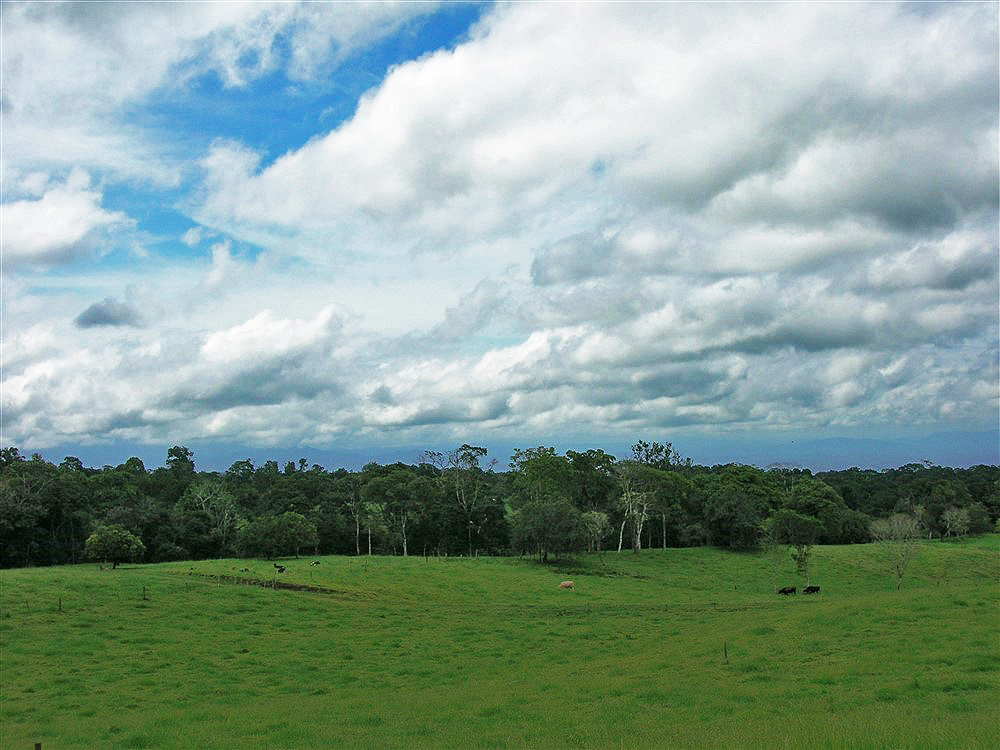 Incredible 93 Acres Potrerillos Arriba, Panama Property Close to Boquete – Buy All or a Part – Increíble 93 acres Potrerillos Arriba,  Propiedad de Panamá Cerca de Boquete – Compre Todo o una Parte photo 3