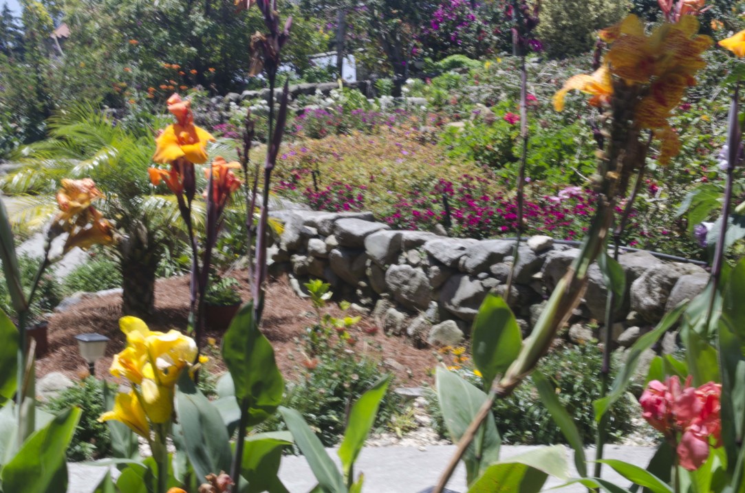 sold View Home in the heights of Volcancito, Boquete for sale photo 5