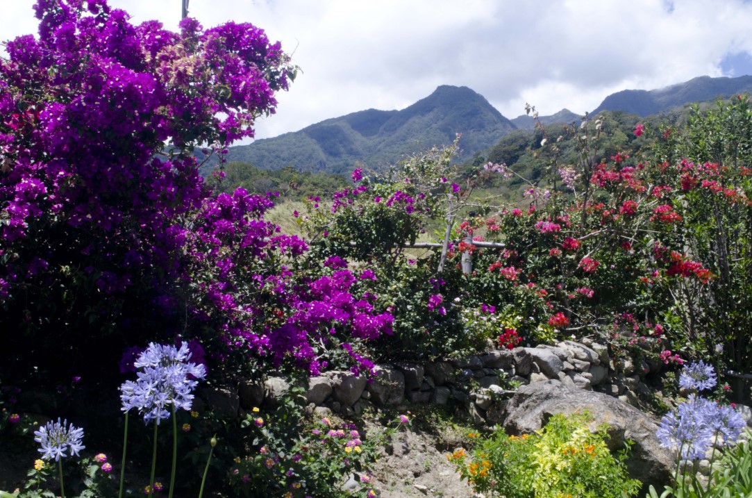 sold View Home in the heights of Volcancito, Boquete for sale photo 7