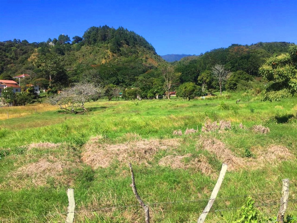 Nearly a Hectare of Land Right in Downtown Boquete on Avenida Central – The Commercial Potential is Enormous photo 8