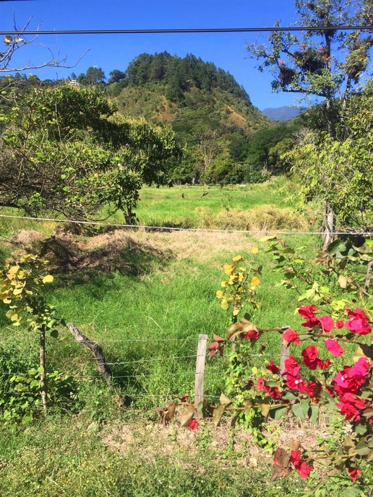Nearly a Hectare of Land Right in Downtown Boquete on Avenida Central – The Commercial Potential is Enormous photo 4
