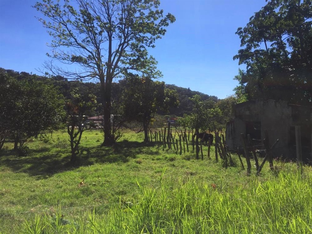 Nearly a Hectare of Land Right in Downtown Boquete on Avenida Central – The Commercial Potential is Enormous photo 12