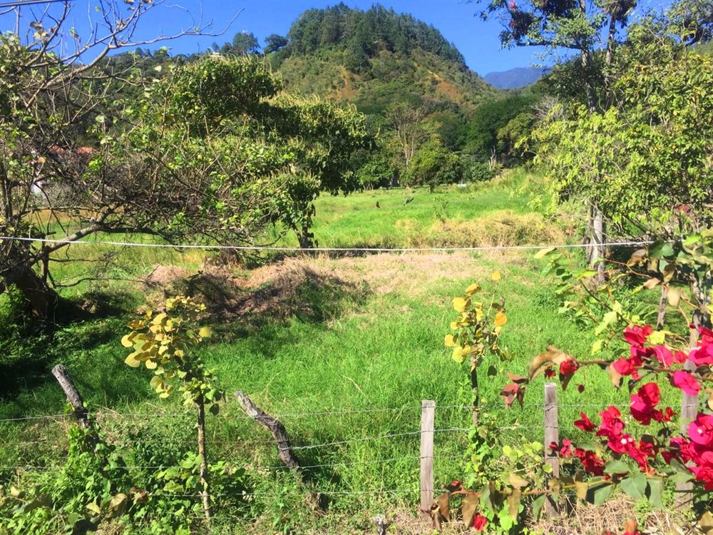 Nearly a Hectare of Land Right in Downtown Boquete on Avenida Central – The Commercial Potential is Enormous photo 5