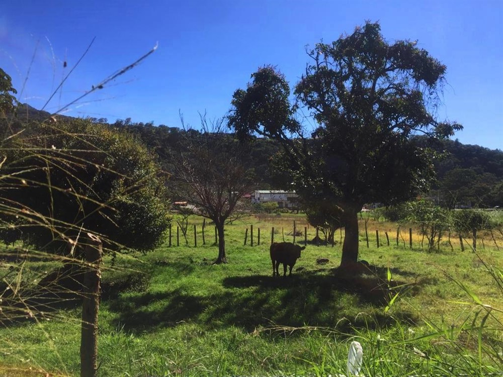 Nearly a Hectare of Land Right in Downtown Boquete on Avenida Central – The Commercial Potential is Enormous photo 10