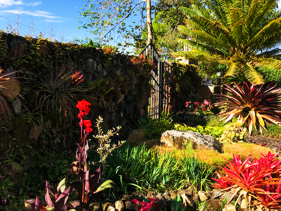 Great Deal!  Beautiful Palo Alto House with Tropical Botanical Garden  & Outstanding Features on 1.24 Acres Less Than 5 Minutes from Downtown Boquete. – Hermosa Casa con Jardín Botánico Tropical en Palo Alto, Boquete photo 9