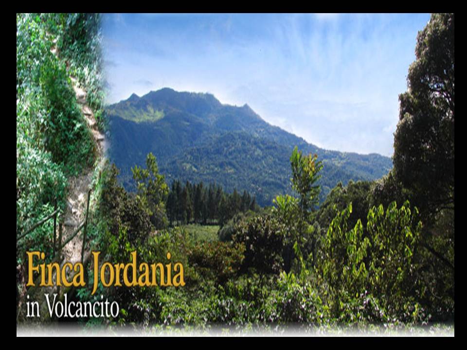 Incredible 1 hectare lot in prime Volcancito, Boquete neighborhood photo 2