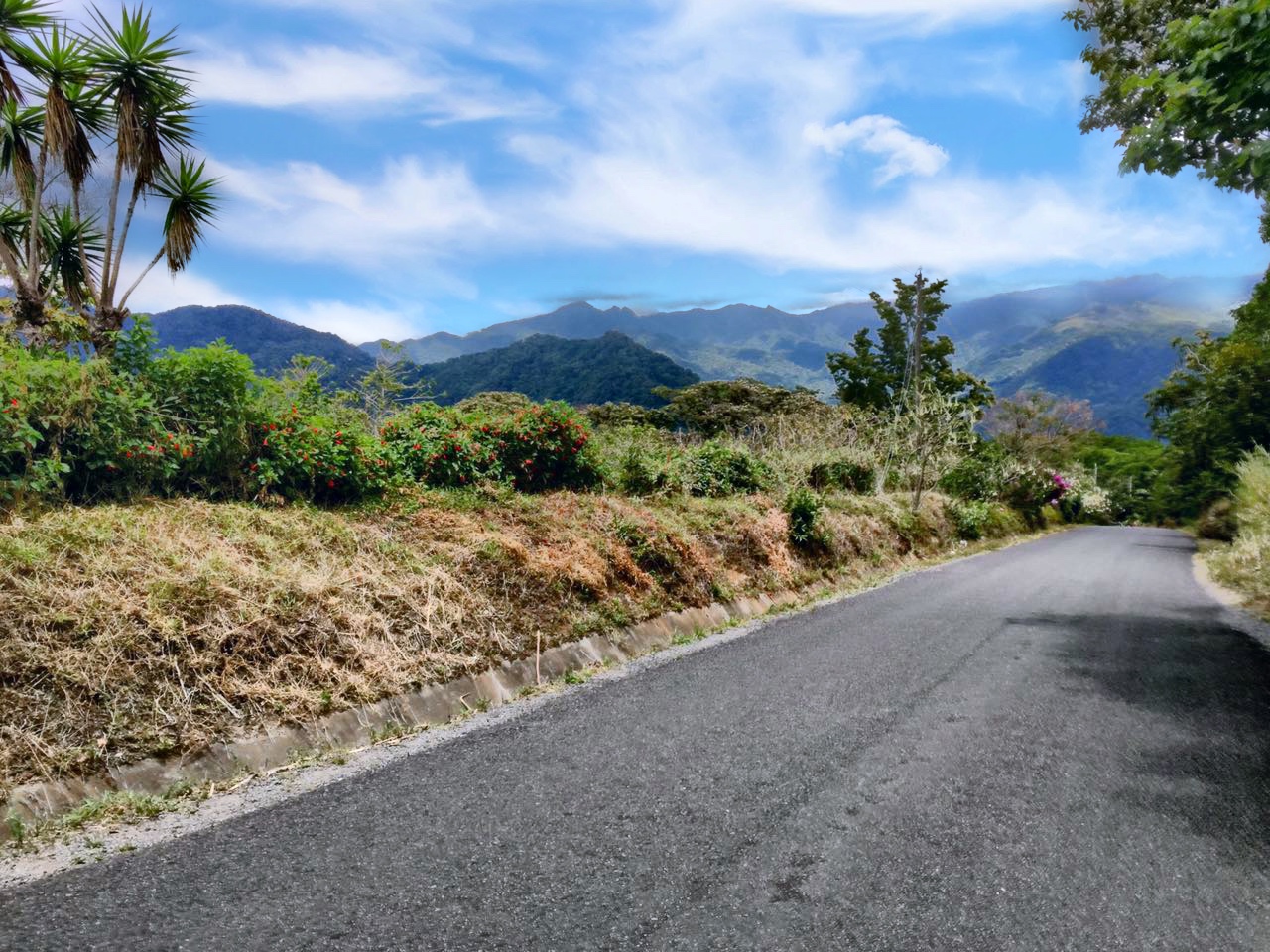sold Reduced! Stunning View Lot For Sale in El Salto, Boquete, Panama near National Park yet Convenient to Town photo 4
